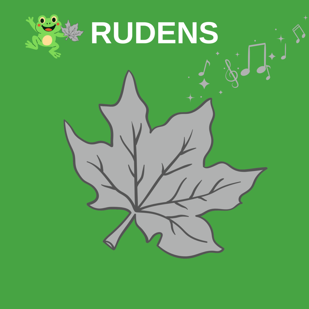 Rudens muzikinės pasakos – 10 scenarijų vaikams